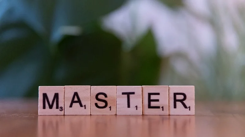 CV étudiant Master : projets, double compétence et stages